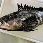 FC7FB2DD-C09C-4C07-A7ED-7F1540BA8593_1_201_a FC7FB2DD-C09C-4C07-A7ED-7F1540BA8593_1_201_a