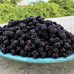 IMG_9911