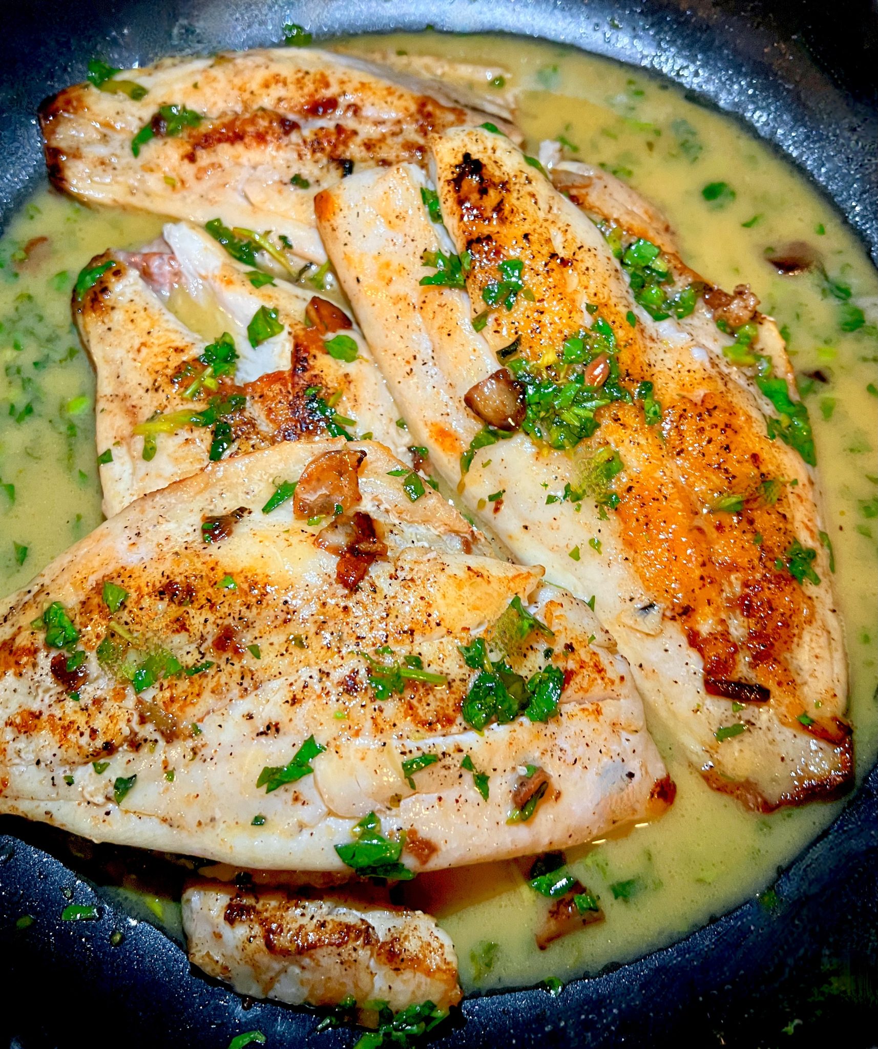 RED SNAPPER IN LEMON WINE BUTTER SAUCE Dish off the Block