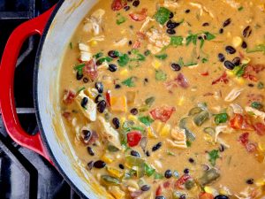 TEX MEX BEER & QUESO CHICKEN CHOWDER WITH CRUNCHY TORTILLA STRIPS